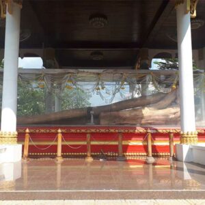 ต้นมณีโคตร